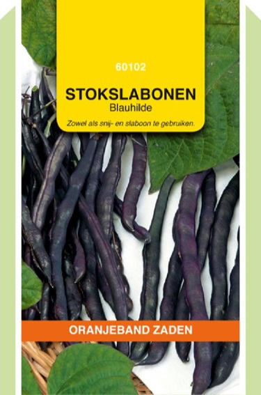 Stangenbohne Blauhilde (Phaseolus) 300 Samen